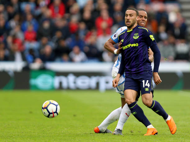 本赛季球队 本赛季球队