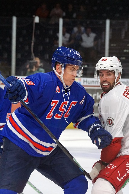 争夺中占据 争夺中占据