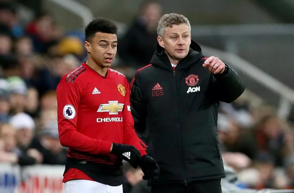 库克与比尔 库克与比尔