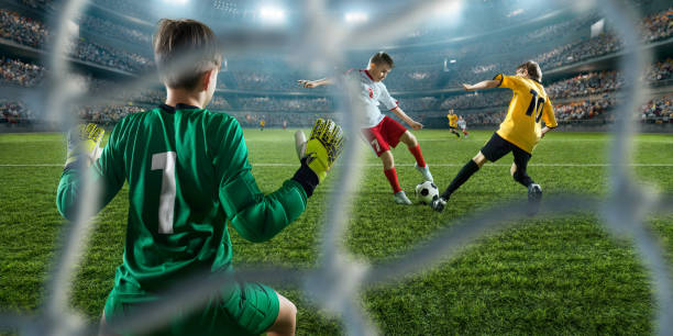 然伴隨質疑 然伴隨質疑